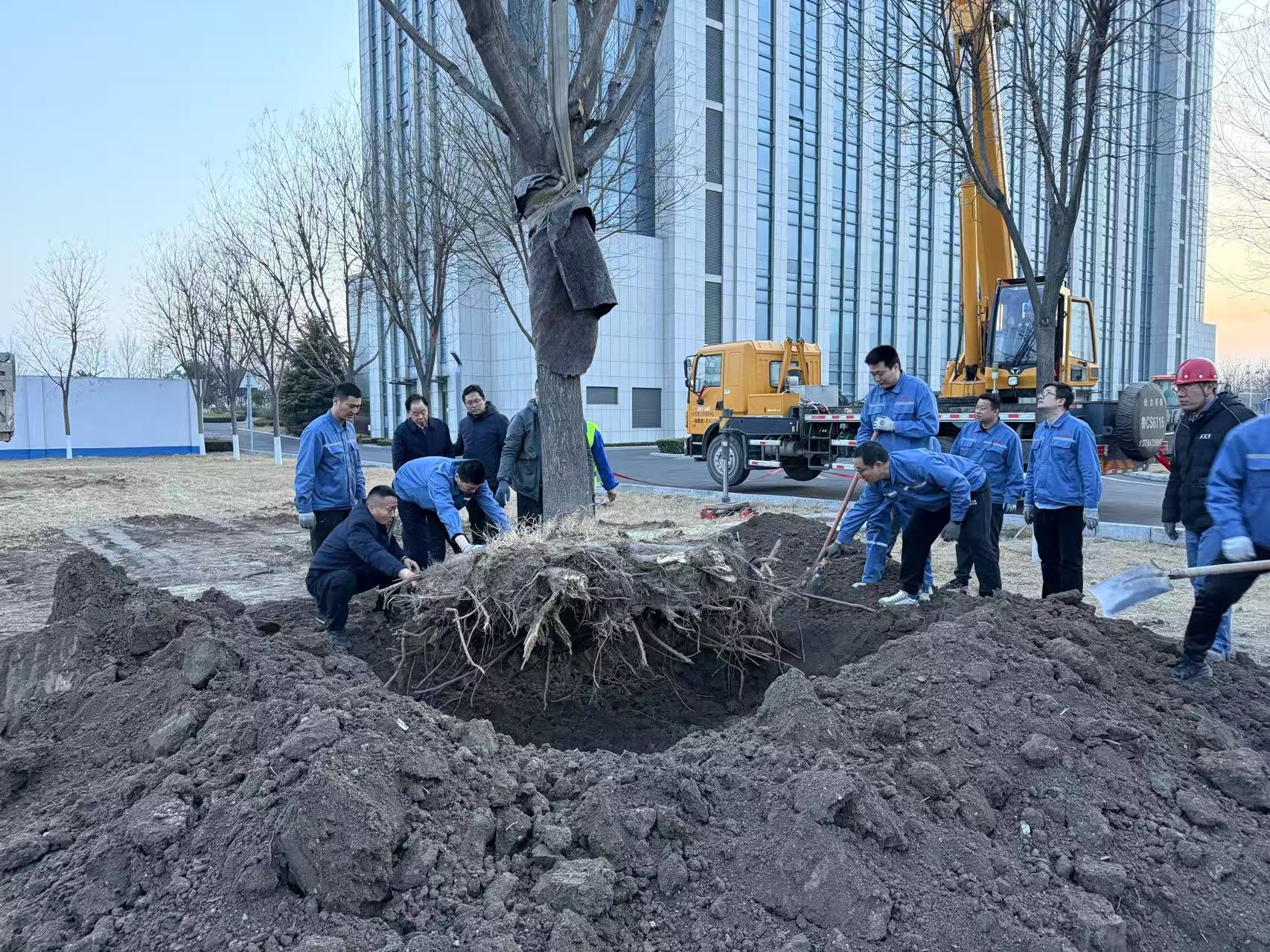 2025年3月1日皇家国际干部职工合力栽下新春第一树
